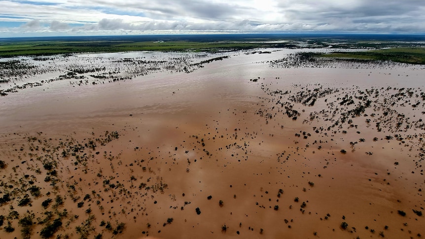 An aerial view of flooded bushland