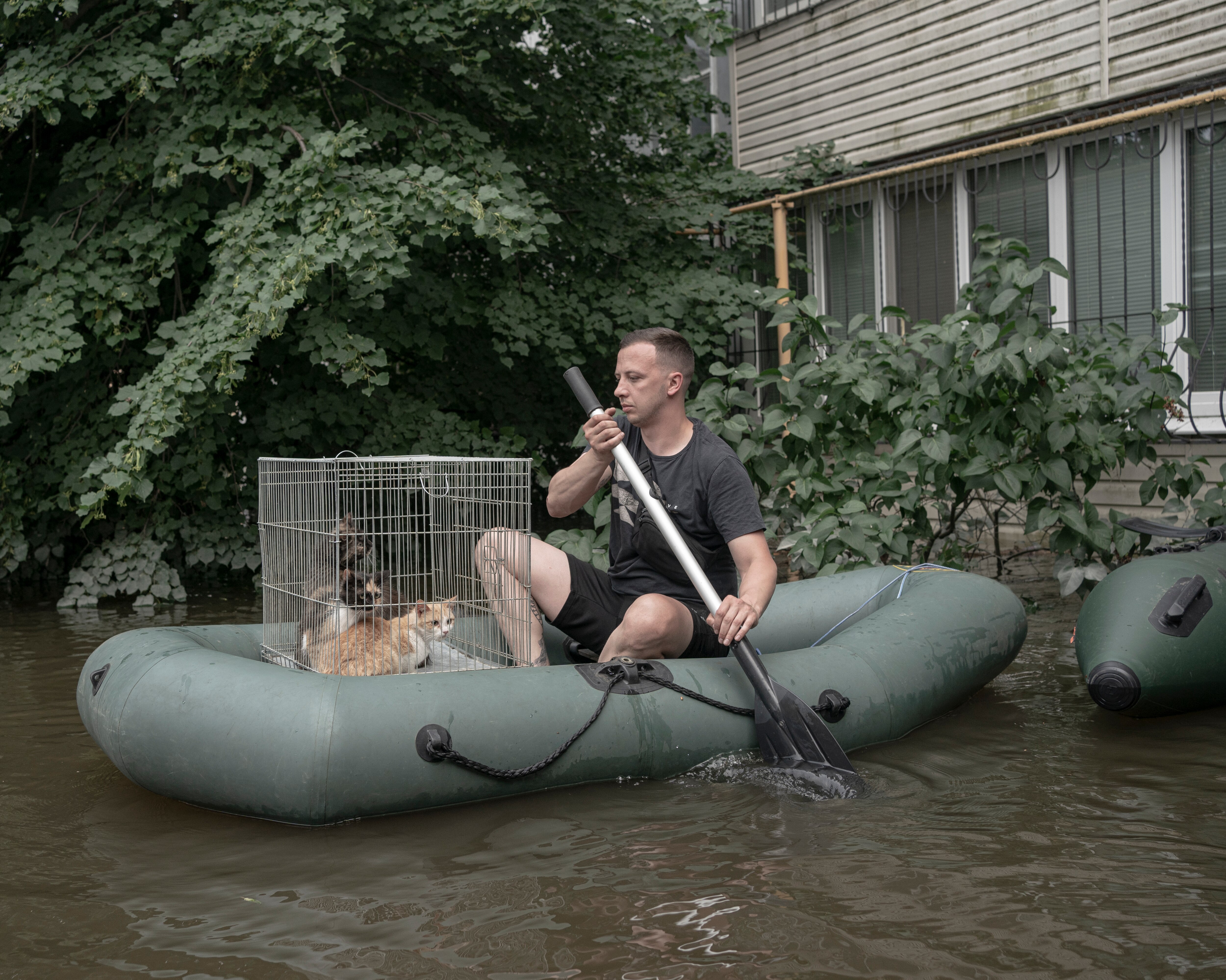 A man paddles a boat with two cats in a cage aboard 