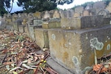 Headstones were moved to Hobart's main cemetery 25 years after the last burial at the site of the former orphan schools.