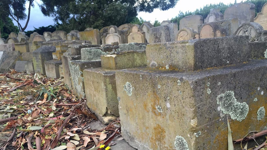 Headstones were moved to Hobart's main cemetery 25 years after the last burial at the site of the former orphan schools.