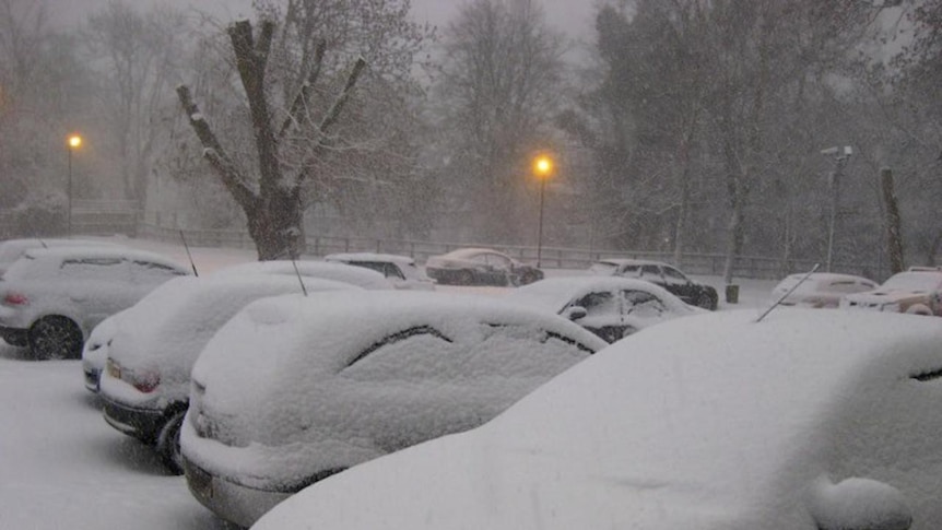 Snow covers cars in Bedfordshire. (Aniesha Moon)