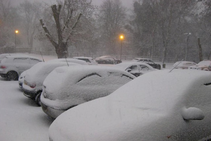 Snow covers cars in Bedfordshire. (Aniesha Moon)