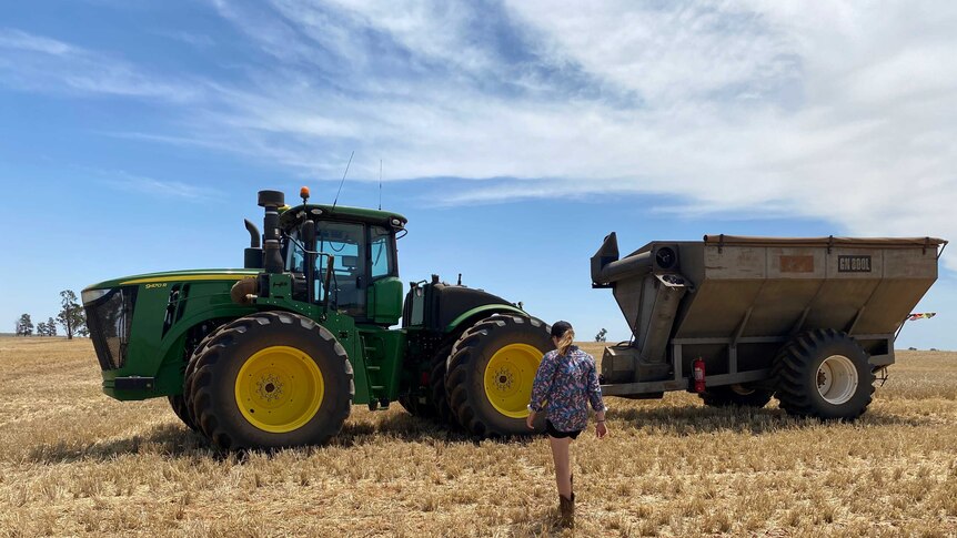 A teenage girl walking across a barley crop to get into a tractor which is towing a grain chaser bin.