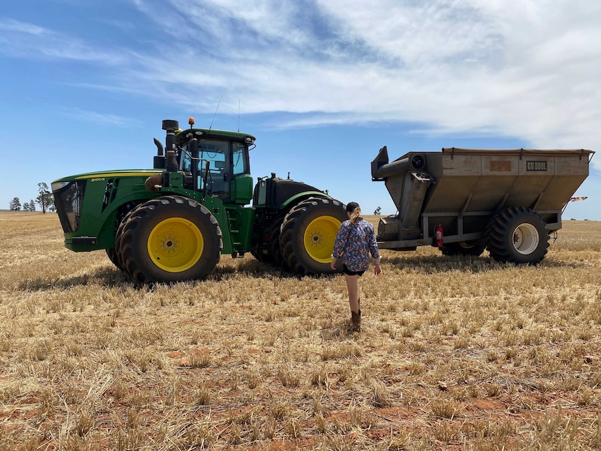 A teenage girl walking across a barley crop to get into a tractor which is towing a grain chaser bin.