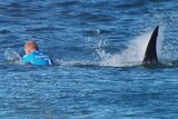 Mick Fanning attacked by shark