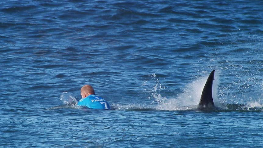 Mick Fanning attacked by shark