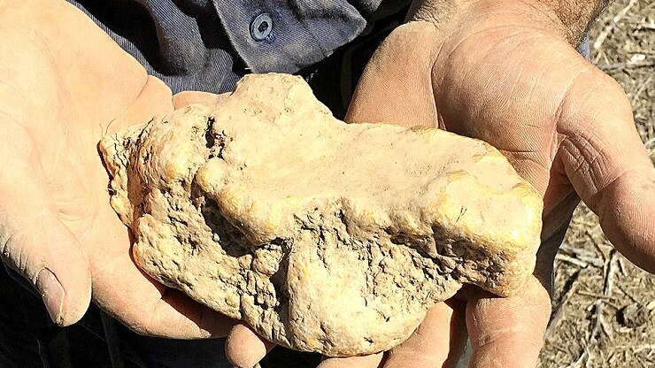 A gold nugget found in Central Victoria