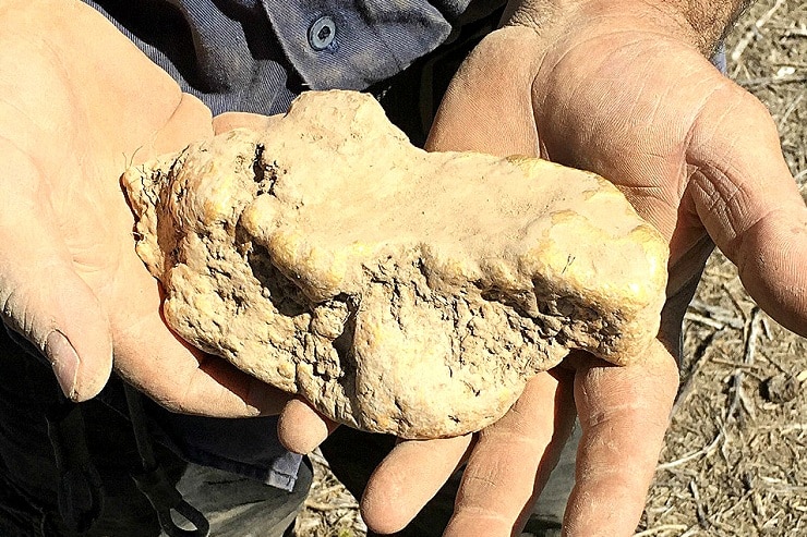 A gold nugget found in Central Victoria