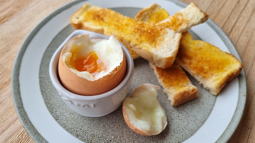 boiled egg and toast