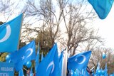 Dozens of ethnic Uighurs staged a protest outside the Chinese Consulate in Melbourne.