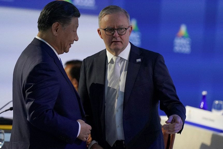 澳大利亚总理阿尔巴尼斯与中国国家主席习近平在APEC会场又一次见了面。