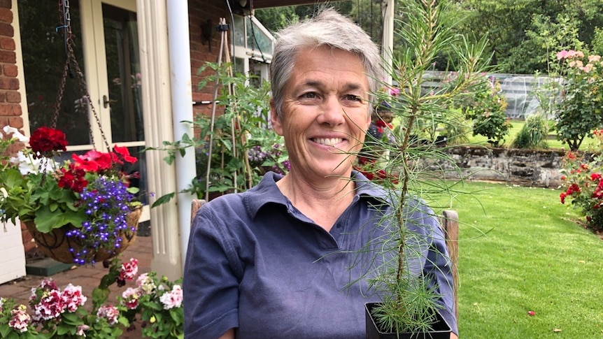 Lou Hollis, a woman with grey hair, smiles with a pine sapling.