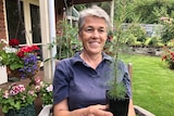 Lou Hollis, a woman with grey hair, smiles with a pine sapling.