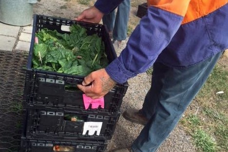 A Risdon inmate with vegetables harvested from the prison garden.