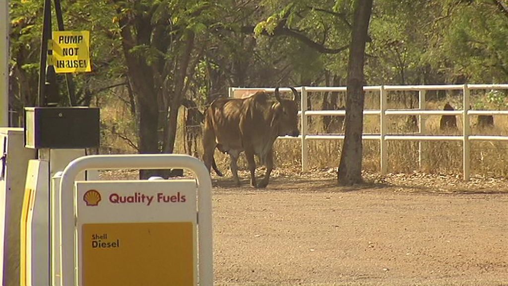 Daly Waters 0852 Location ABC News