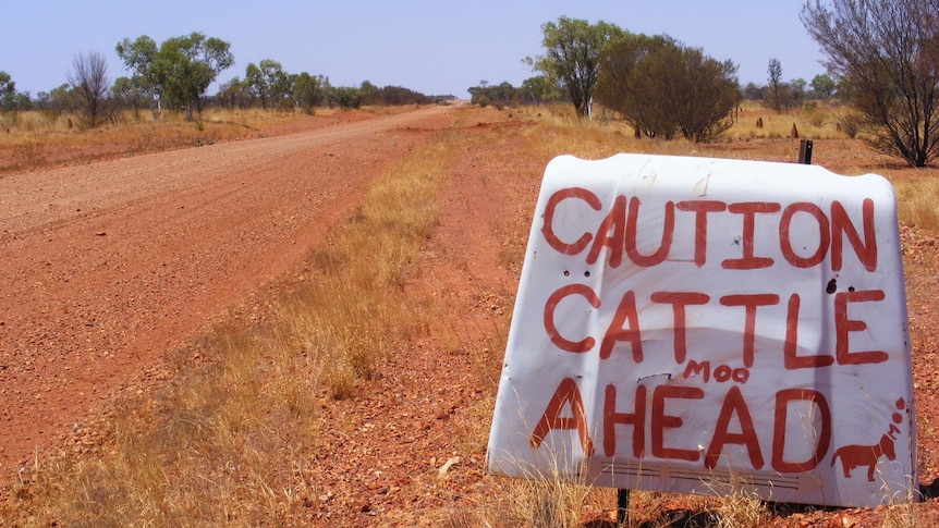 Outback road sign, Sandover Highway, NT