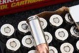 bullet ammunition generic