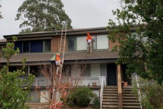 Two workers in orange on a roof with a ladder.