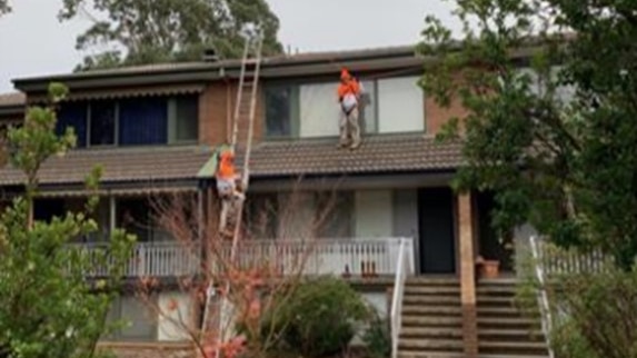 Two workers in orange on a roof with a ladder.