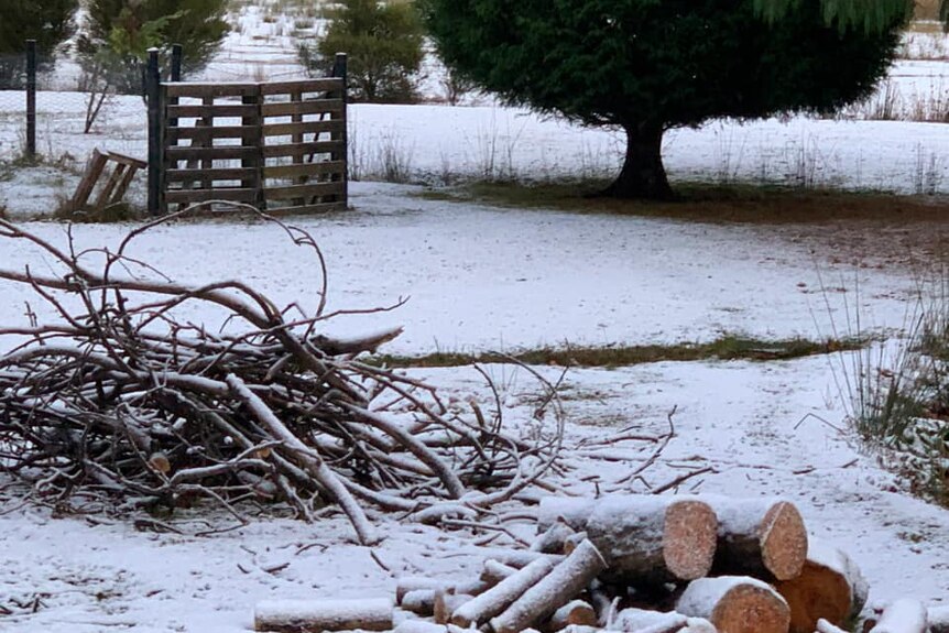 Snow covering logs in a backyard.