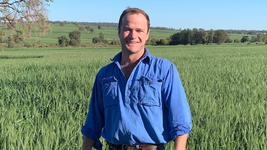 A farmer standing in a green field.