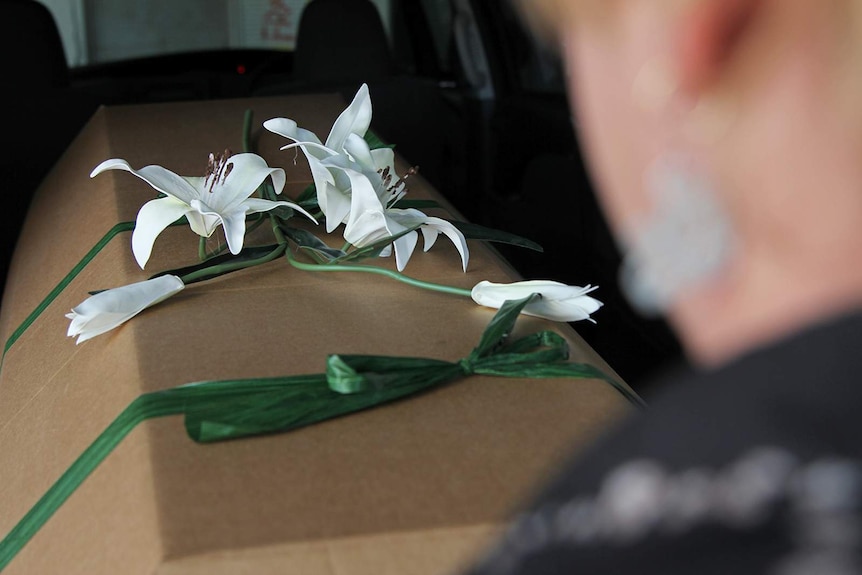 A photo over Carol Phayer's shoulder as she loads a cardboard coffin into the back of a hearse.