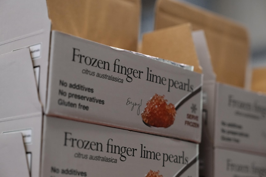 Photo of boxes with the words frozen finger lime pearls