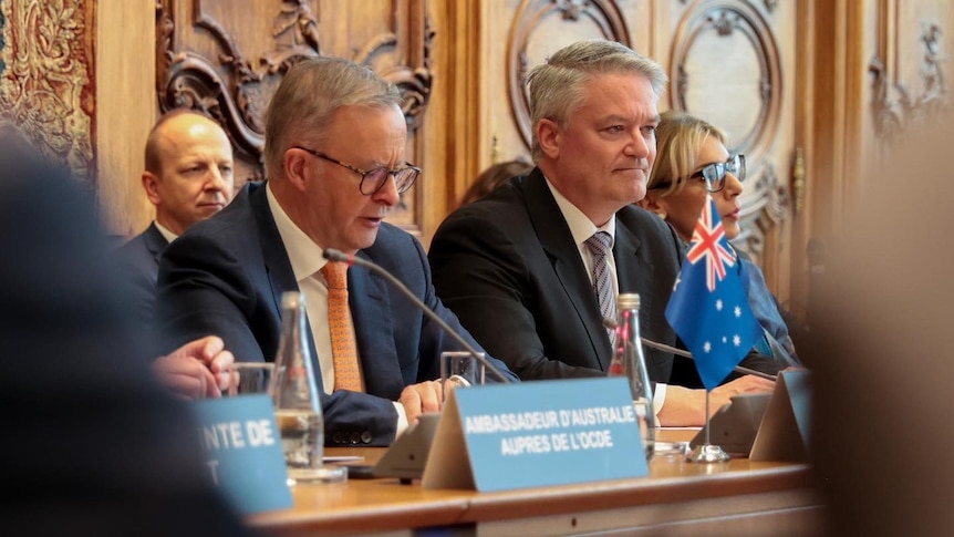 Albanese sits at a desk next to Cormann. The desks have identifying signs and microphones.