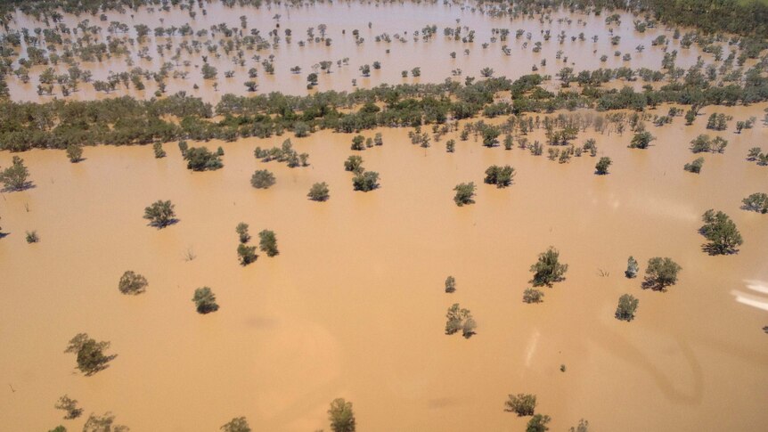 The Maranoa River continues to flood north-west of St George