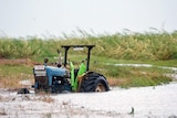 A tractor is seen inundated with water on a property south of Bowen.