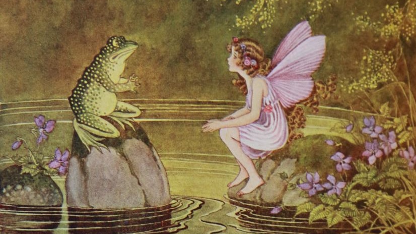 Illustration of frog and fairy
