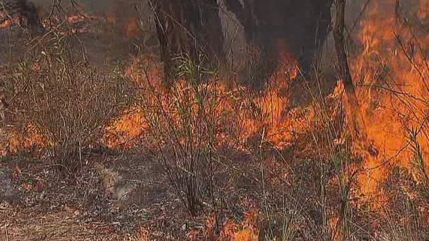 Cooler weather conditions have prompted fire authorities to conduct the largest controlled burn in the ACT in 30 years.