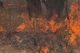 Cooler weather conditions have prompted fire authorities to conduct the largest controlled burn in the ACT in 30 years.