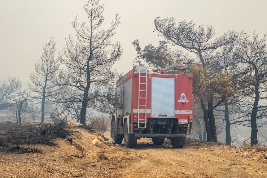 A fire-fighting vehicle drives through burnt trees during a wildfire in Greece