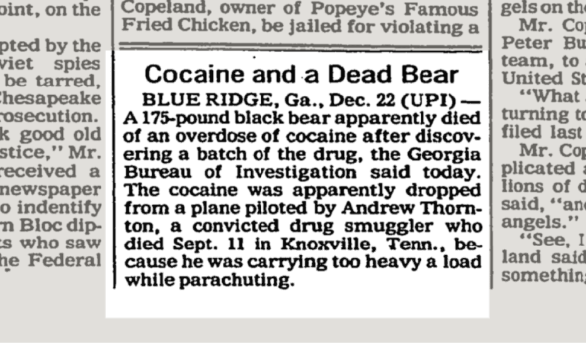 A digitial image of the newspaper item with the headline Cocaine and a Dead Bear.