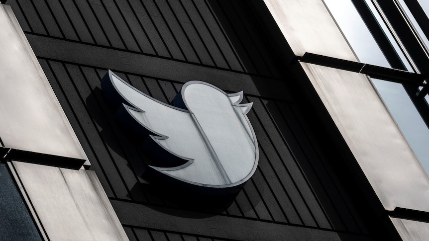 The twitter logo on the side of a  building 