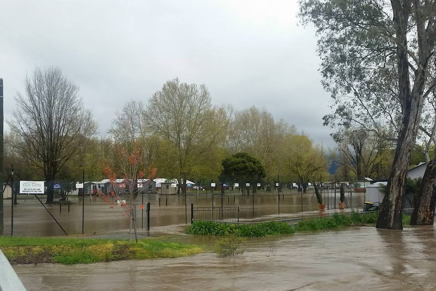 Flooding at Myrtleford in Victoria's north-east