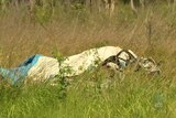 The accident happened on a notorious stretch of the Bruce Highway at the Caves, north of Rockhampton.