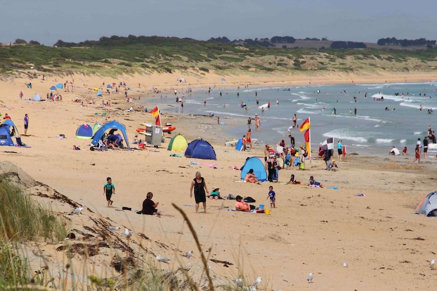 A crowd of people spread out over beach on a sunny day