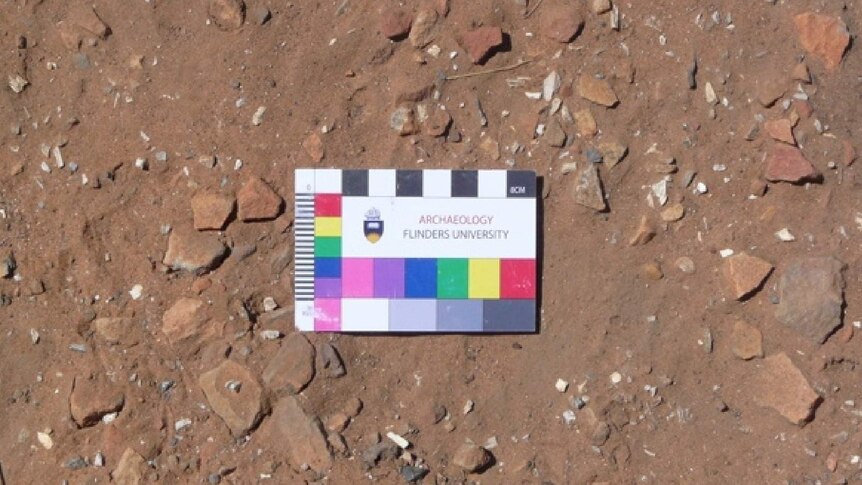 An image showing white bone fragments in the red clay and dirt at Sturt Creek.