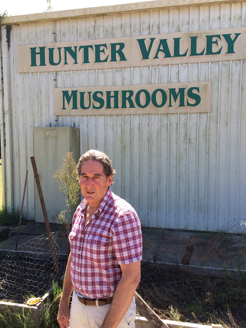 Former mushroom farmer, Robert Wimborne.