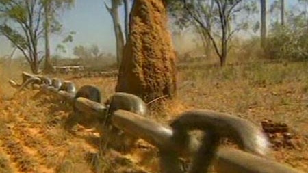 Illegal land clearing is on the rise in NSW