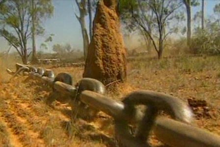 Illegal land clearing is on the rise in NSW
