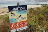 A sign warns of a "Hooded Plover chick feeding zone", with a sandy beach stretching into the distance in the background