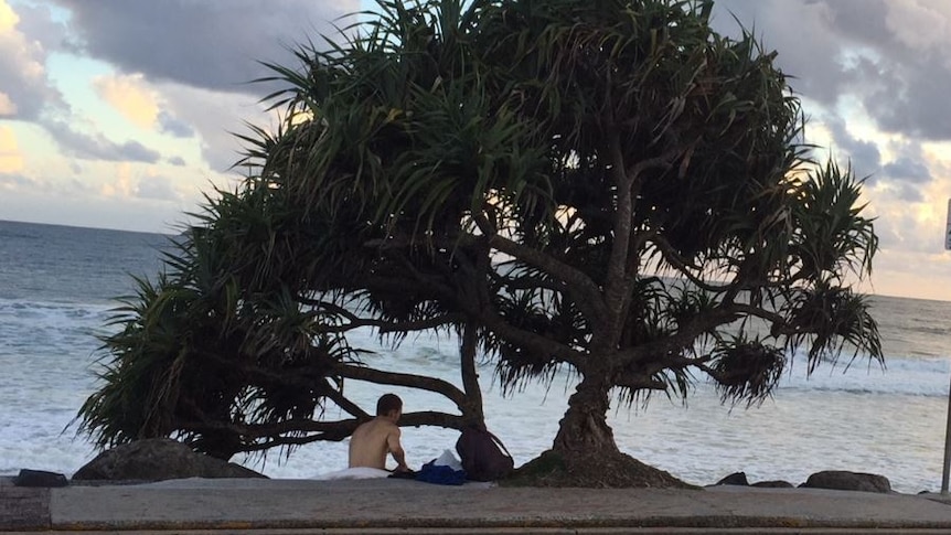 Man sits under a tree at the beach