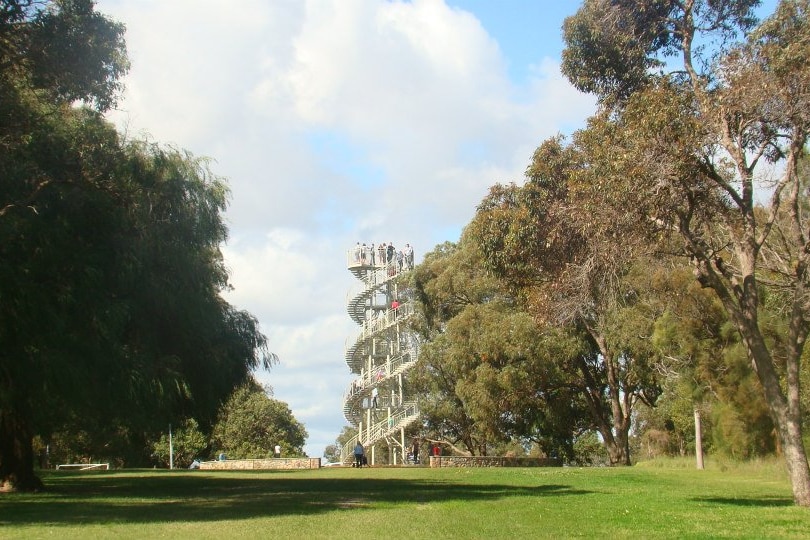 The DNA tower in Kings Park.