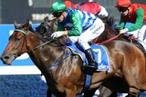 Jockey's can face a life ban and fined up to $75,000 for betting on races.