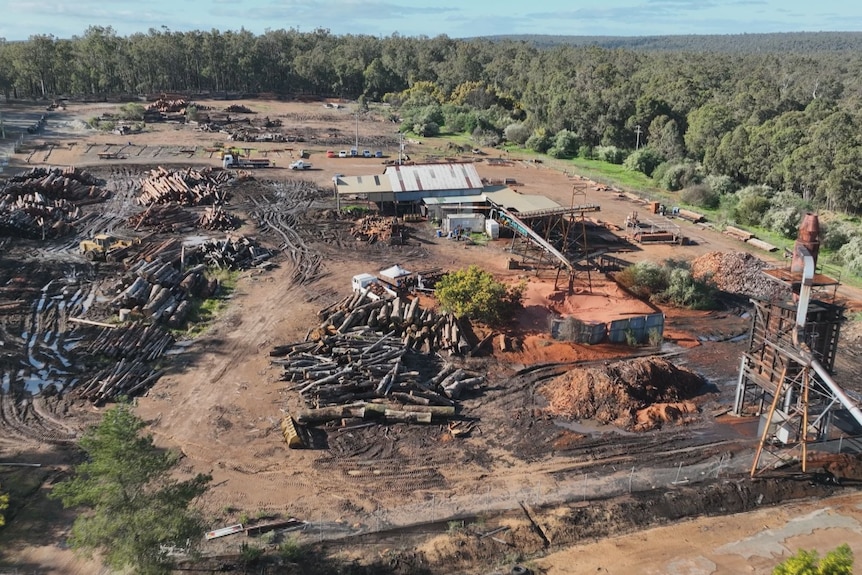 Aerial shot of sawmill surrounded by forest