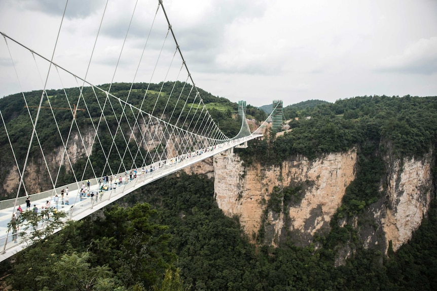 People walk on a glass-bottomed bridge above a valley in Zhangjiajie in China's Hunan province.