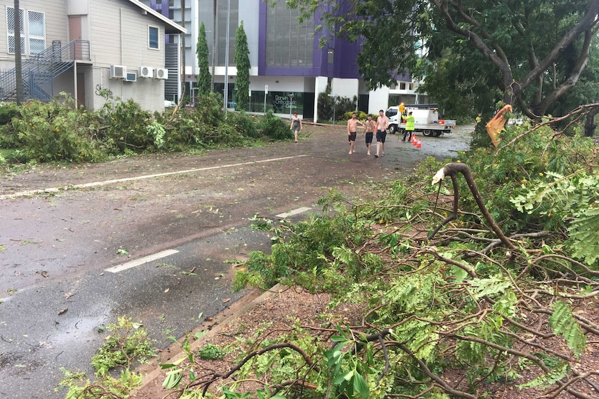 Three young men walk across a road lined with fallen trees.